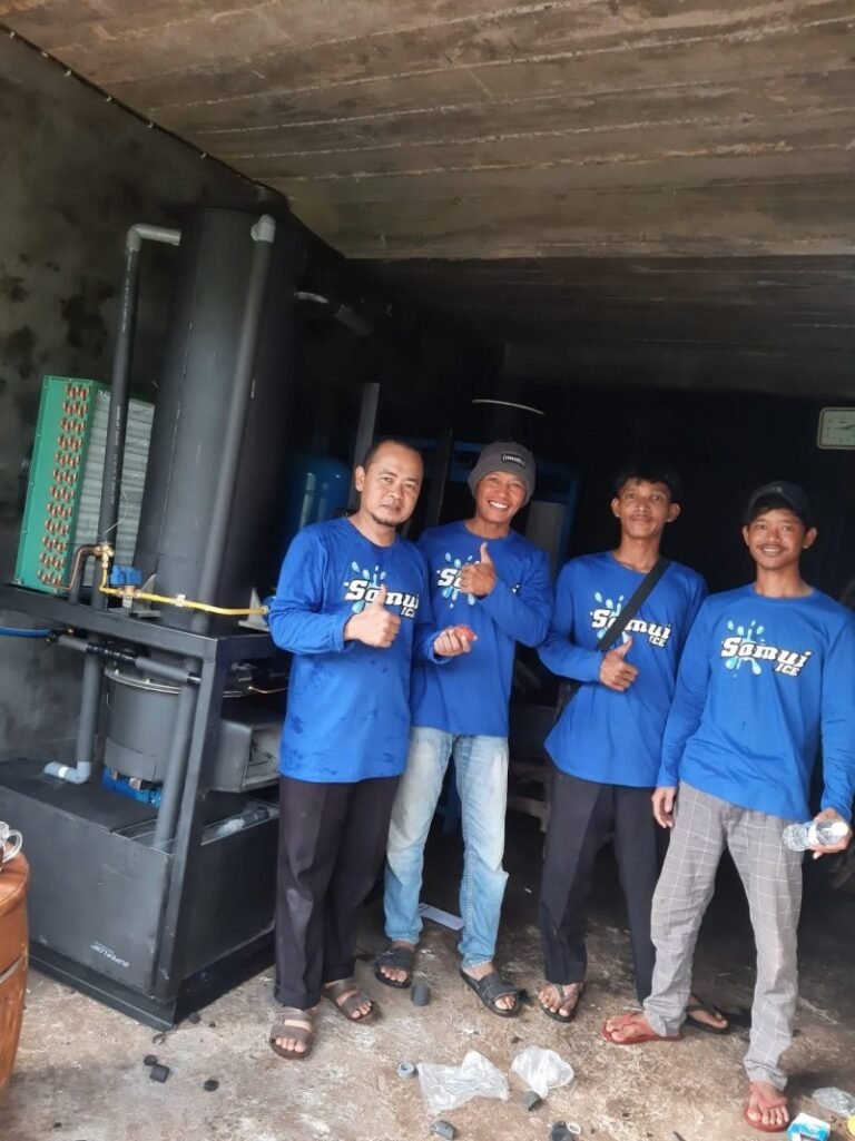 Inspirasi Sukses Pengusaha Es Batu Kemasan